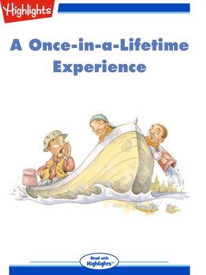 cover image of A Once-in-a-Lifetime Experience